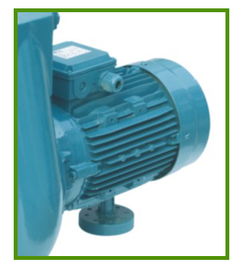 广州康瑞翔供应ATS 300爱克水泵 高效环保的游泳池循环过滤解决方案